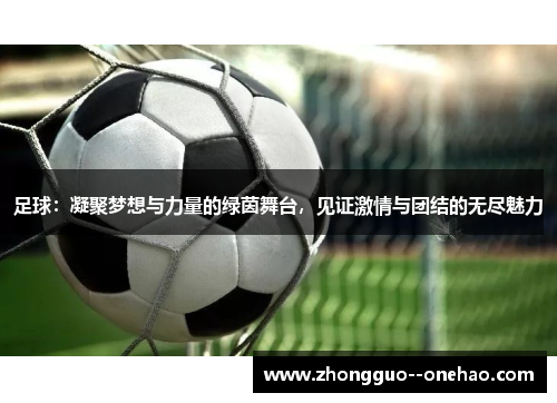 足球：凝聚梦想与力量的绿茵舞台，见证激情与团结的无尽魅力